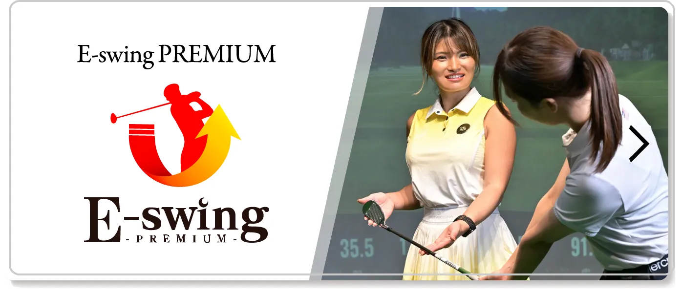 E-swing PREMIUM